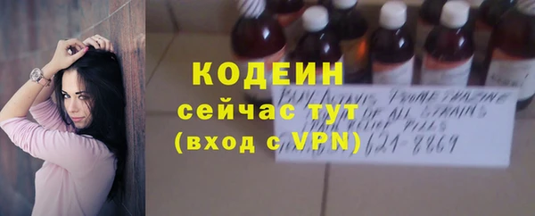 гидра Белокуриха
