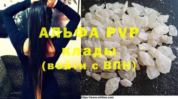 гидра Белокуриха
