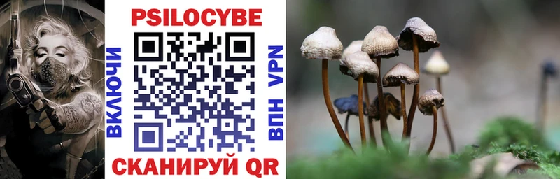 мега tor Дубна Псилоцибиновые грибы Magic Shrooms